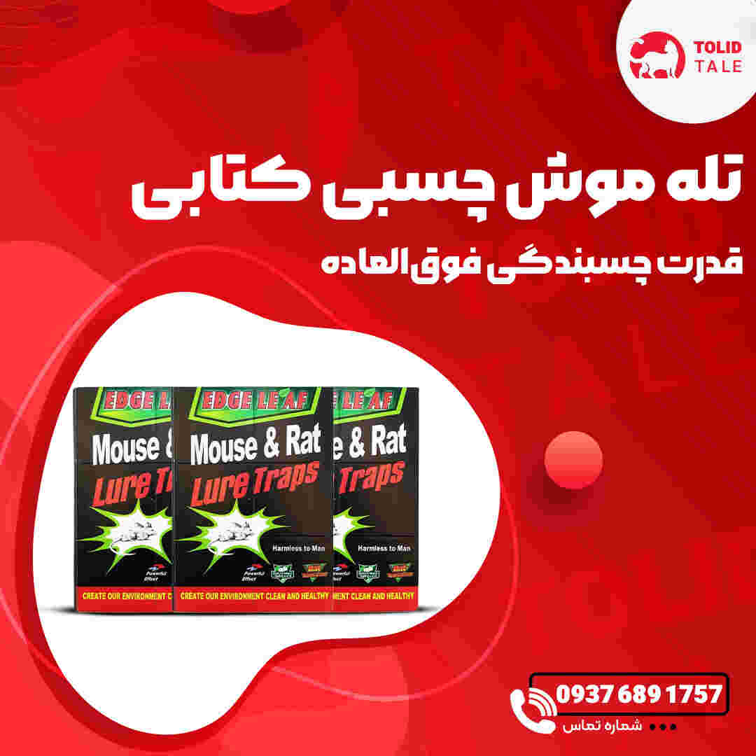 کاور1 تله موش چسبی کتابی - Image 1