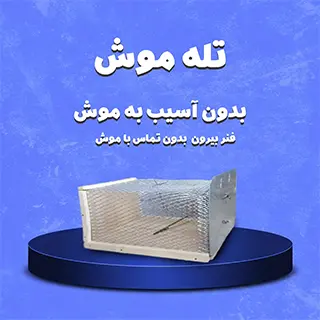 تله موش