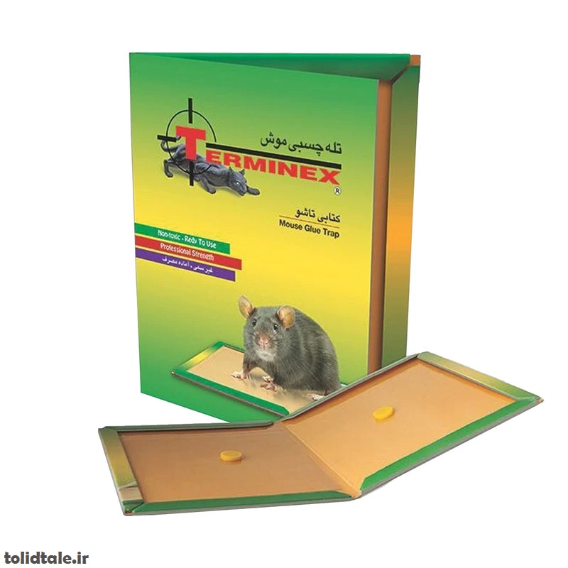 تله موش چسبی