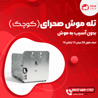 تله موش کوچک فلزی