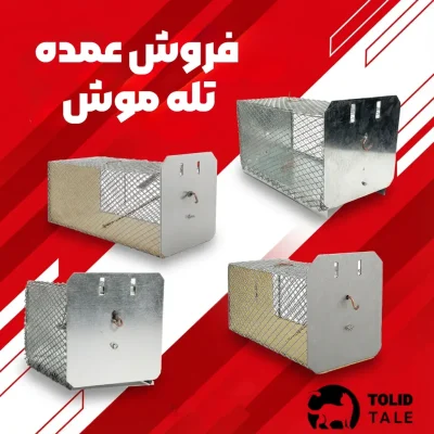 فروش عمده تله موش