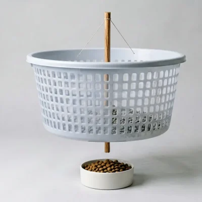 تله گربه با سبد